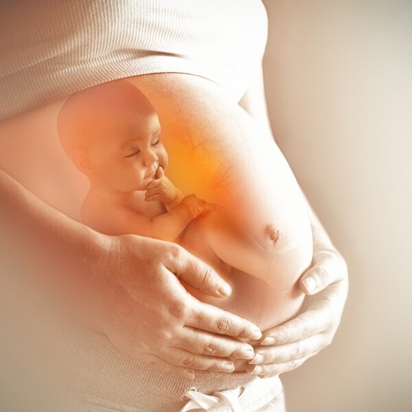 Pregnant woman's belly closeup with a baby inside, conceptual motherhood image