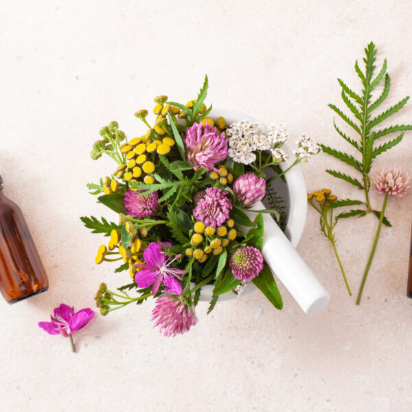 AdobeStock_286337157-scaled